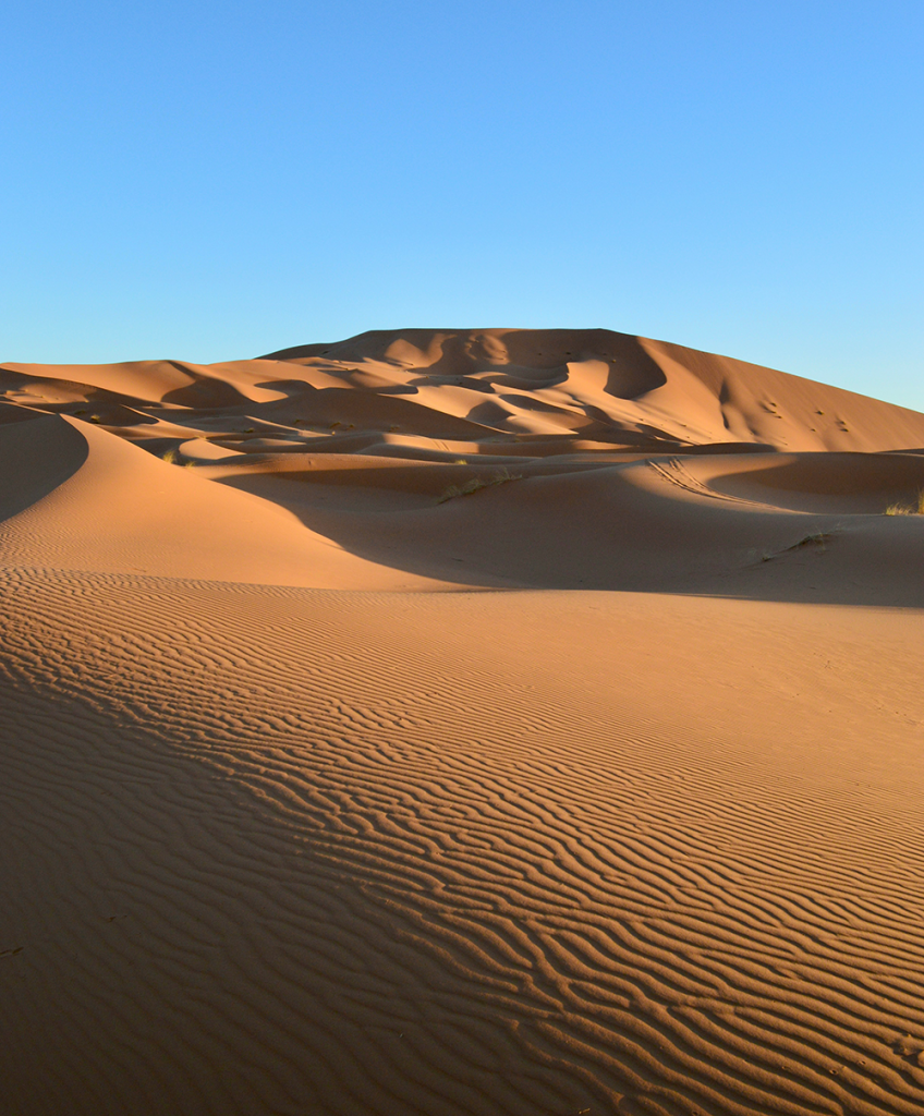 sahara