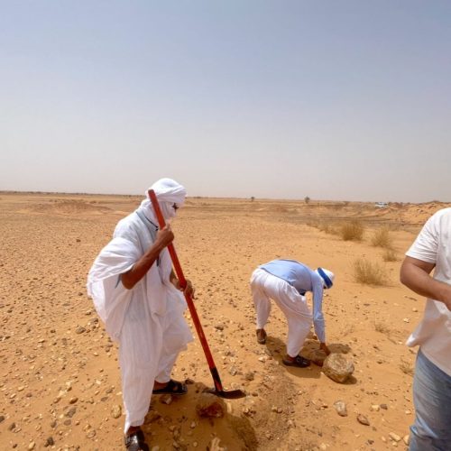 WhatsApp Image 2025-10-07 at 4.23.00 PM (2)